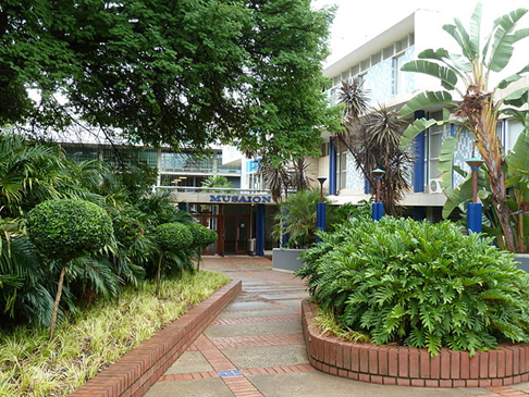 Zieleń na University of Pretoria. Autor: JMK, CC BY-SA 3.0, Wikimedia Commons